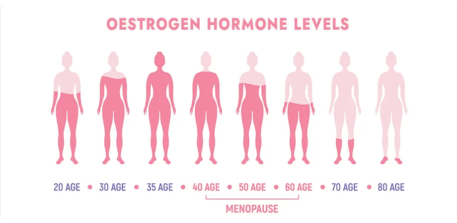 Does perimenopause make you tired? Reduce Fatigue, and Boost Your Energy Levels during menopause 1 oestrogen hormone levels in women over time